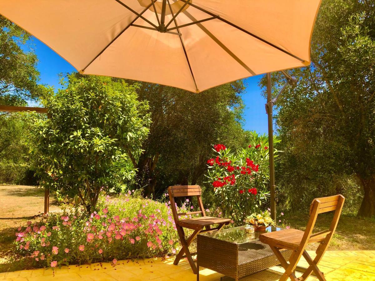 Armonia Corfu Luxury Apartment Liapades Extérieur photo